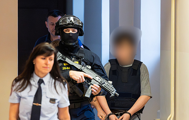 Pasťák, vězení nebo detence? Co čeká mladistvého vraha prodavaček z Hradce