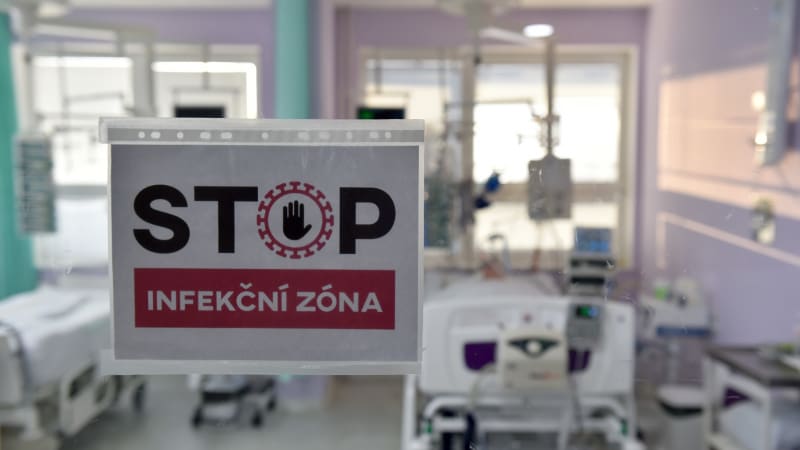 Žloutenka zaplavila Česko: Nakazily se tisíce lidí, desítky zemřely. Pozor na osm příznaků