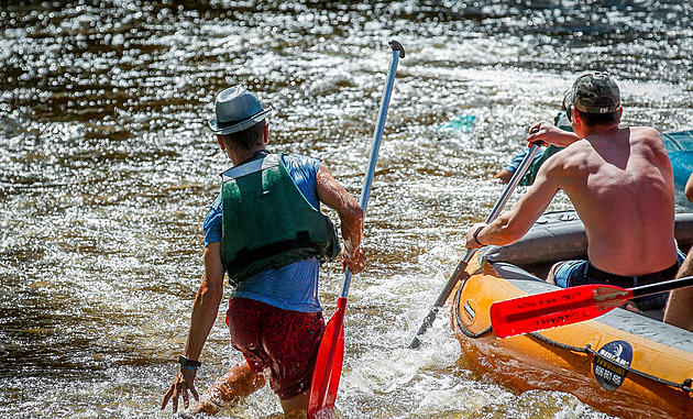 Škodí vodáci na Jizeře chráněným vrankám? Výzkumníci sledovali ryby s čipem