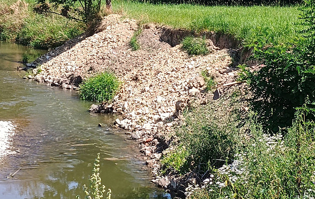 V Poodří někdo zasypal sutí hnízda ledňáčků, policie případ odložila