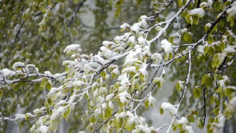Vpád zimy do Česka: Udeří silný vítr a sníh. Podívejte se na RADAR, kde ho napadne nejvíc