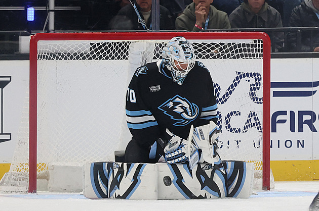 Skončila základní část NHL. Vejmelka se prostřídal s Vaněčkem, Nečas odpočíval