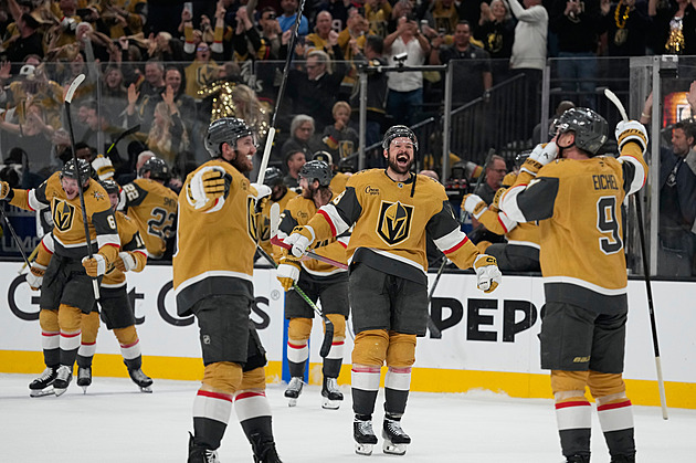 Hertl slaví postup do finále Stanley Cupu, Nečas byl u jediné trefy Colorada