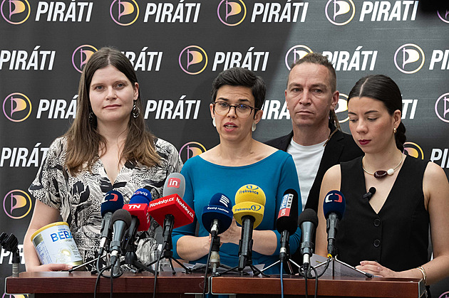 Je to zákon o snadnějším vyhazování expertů, řekla Richterová o návrhu koalice