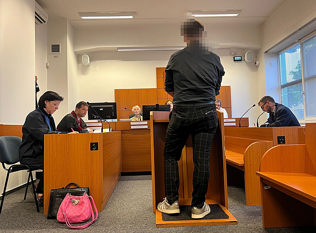 Mladík na domácí party znásilnil čtrnáctiletou dívku, uvěznil ji v koupelně