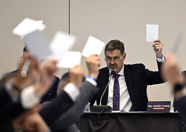Bříza kandiduje do čela Mezinárodní hokejové federace, má osm soupeřů