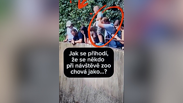 VIDEO: Přes zákaz krmili v zoo zvířata, dítě mohlo spadnout do výběhu