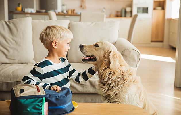 Prázdniny končí i psům a kočkám. Veterinářka radí, jak zavést nový rytmus